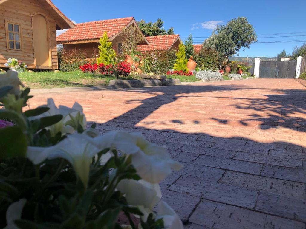 Cabanas Villa Isabel Кахика Екстериор снимка